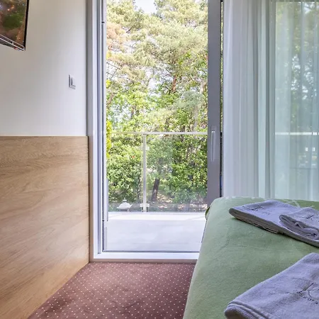 Kiwi Guest house